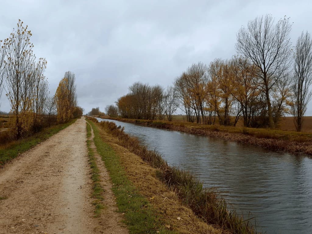 camino-francis-fromista
