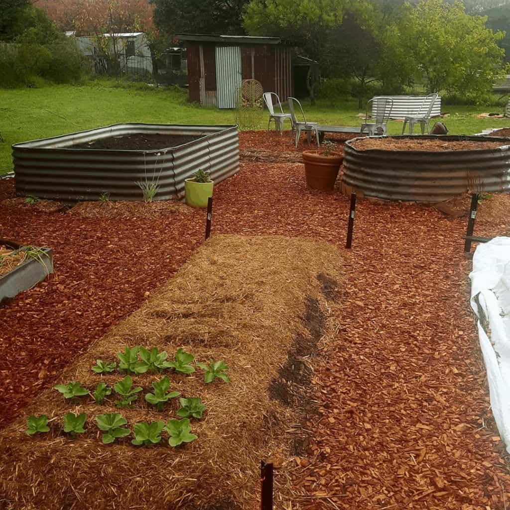 lasagne-inground-garden-bed