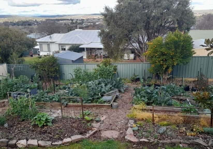 self-sufficient-backyard