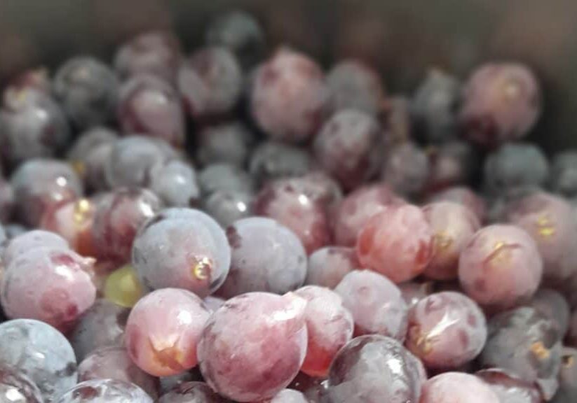 grapes_bowl