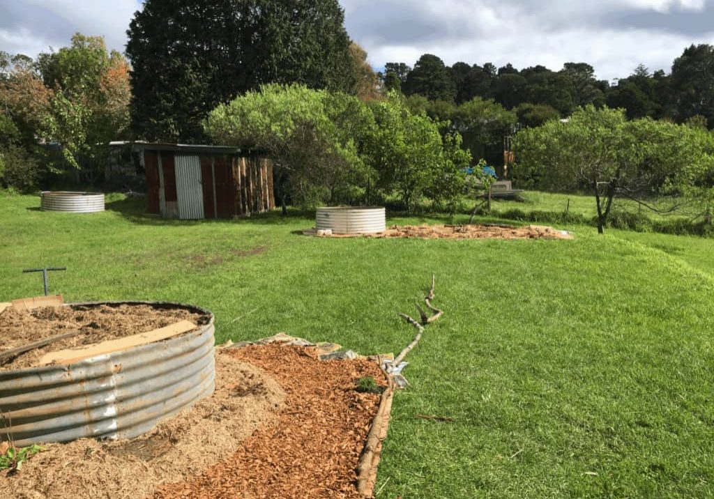 lifeoutsidethebox_yard lifeoutsidethebox_yard